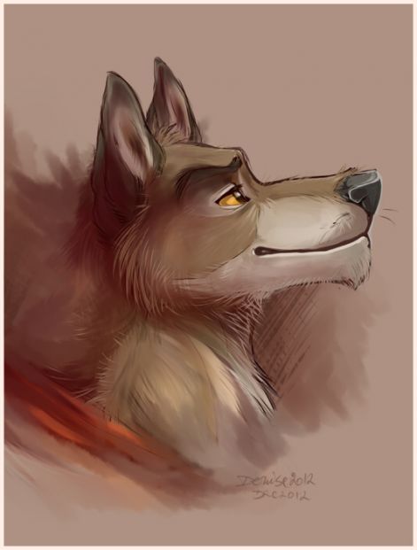 balto3.jpg