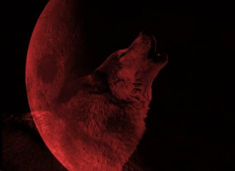 blood_moon.jpg